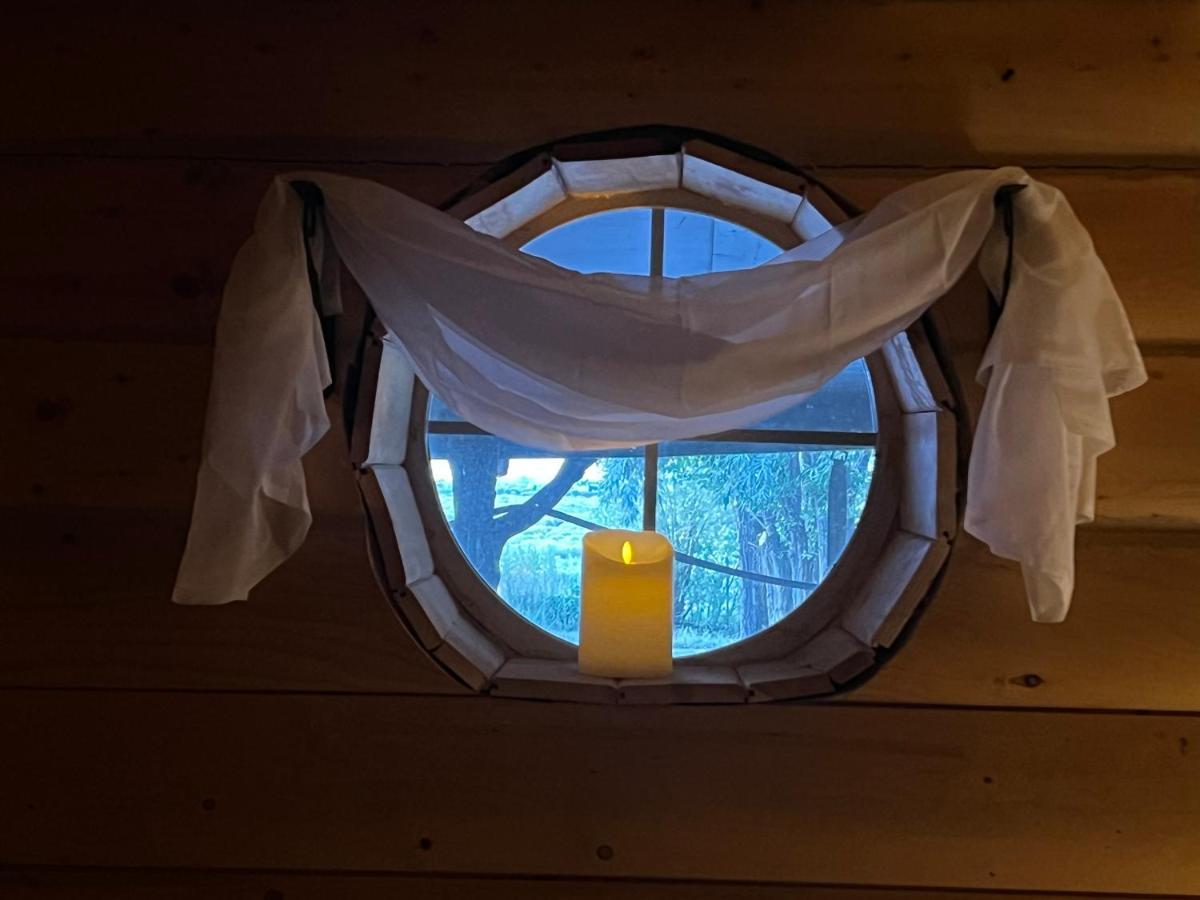 The Gratitude Homestay Alamosa Eksteriør bilde